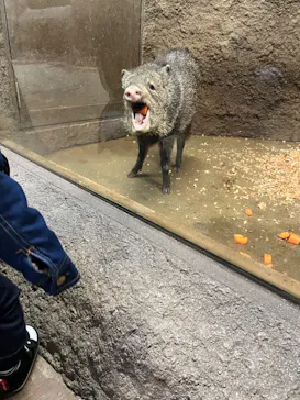 神戸どうぶつ王国に投稿された画像（2022/12/4）