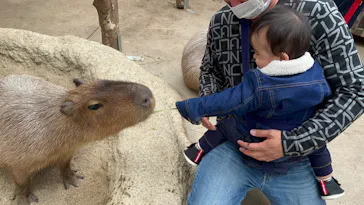 神戸どうぶつ王国に投稿された画像（2022/12/4）