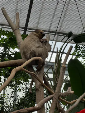 神戸どうぶつ王国に投稿された画像（2022/12/4）