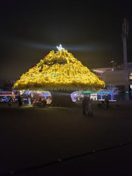 東京メガイルミに投稿された画像（2022/12/4）