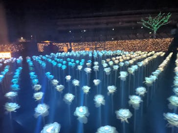 東京メガイルミに投稿された画像（2022/12/4）