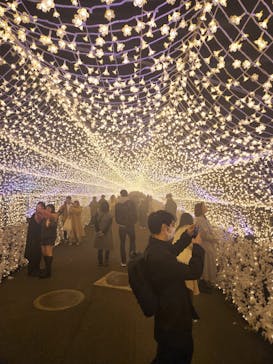 東京メガイルミに投稿された画像（2022/12/4）