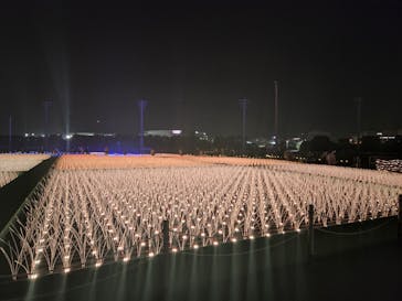 東京メガイルミに投稿された画像（2022/12/4）