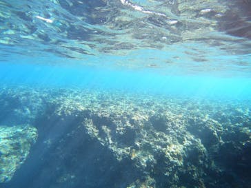 沖縄マリンサービス碧に投稿された画像（2022/12/4）