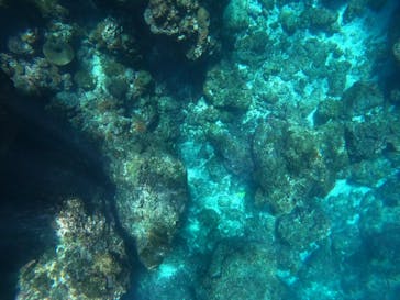 沖縄マリンサービス碧に投稿された画像（2022/12/4）