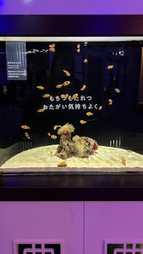 横浜開運水族館 フォーチュンアクアリウムに投稿された画像（2022/12/4）