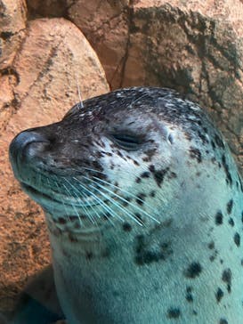 しながわ水族館に投稿された画像（2022/12/4）