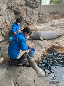 しながわ水族館に投稿された画像（2022/12/4）