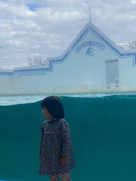 しながわ水族館に投稿された画像（2022/12/4）