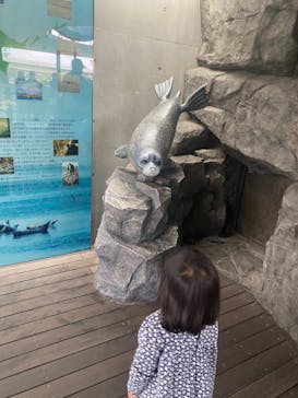 しながわ水族館に投稿された画像（2022/12/4）