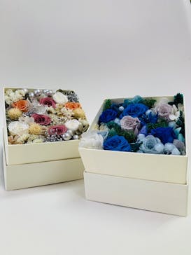 ずこうしつ〜sugamo〜に投稿された画像（2022/12/4）