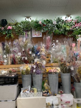 ずこうしつ〜sugamo〜に投稿された画像（2022/12/4）