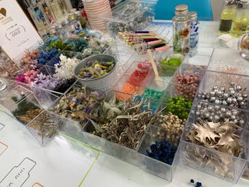 ずこうしつ〜sugamo〜に投稿された画像（2022/12/4）