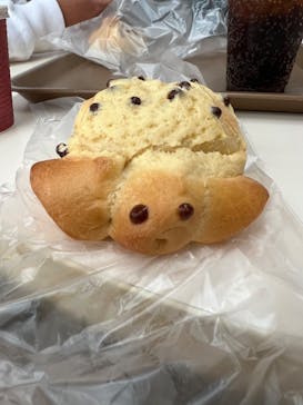 株式会社Gに投稿された画像（2022/12/4）