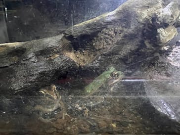 株式会社Gに投稿された画像（2022/12/4）