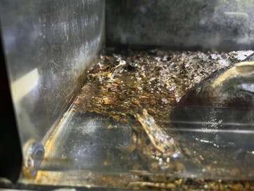 株式会社Gに投稿された画像（2022/12/4）