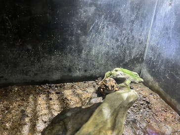 株式会社Gに投稿された画像（2022/12/4）