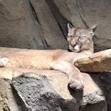 神戸どうぶつ王国に投稿された画像（2022/12/4）