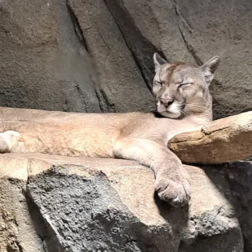 神戸どうぶつ王国に投稿された画像（2022/12/4）