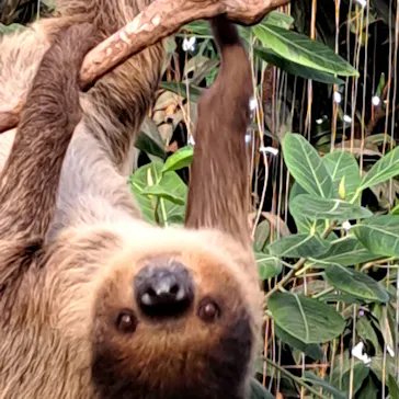 神戸どうぶつ王国に投稿された画像（2022/12/4）