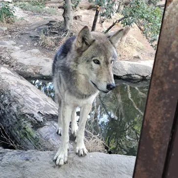 神戸どうぶつ王国に投稿された画像（2022/12/4）