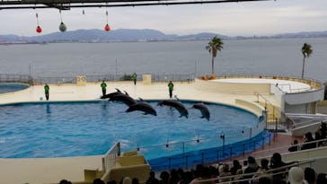 マリンワールド海の中道に投稿された画像（2022/12/4）