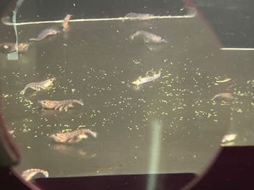 名古屋港水族館に投稿された画像（2022/12/4）