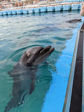 横浜・八景島シーパラダイスに投稿された画像（2022/12/4）