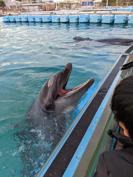 横浜・八景島シーパラダイスに投稿された画像（2022/12/4）