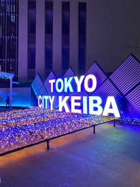 東京メガイルミに投稿された画像（2022/12/4）