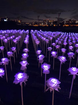 東京メガイルミに投稿された画像（2022/12/4）