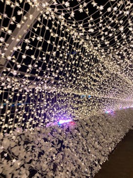 東京メガイルミに投稿された画像（2022/12/4）