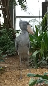 神戸どうぶつ王国に投稿された画像（2022/12/4）