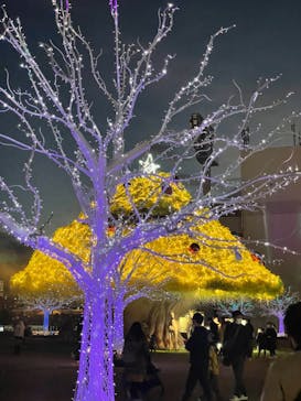 東京メガイルミに投稿された画像（2022/12/4）