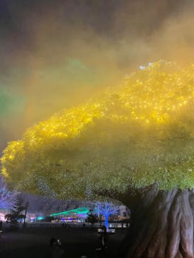 東京メガイルミに投稿された画像（2022/12/4）