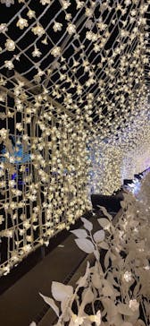 東京メガイルミに投稿された画像（2022/12/4）