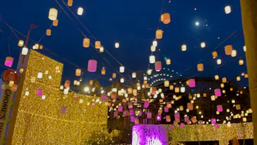 ひらかたパークに投稿された画像（2022/12/4）