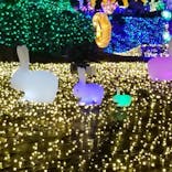 伊豆ぐらんぱる公園に投稿された画像（2022/12/4）