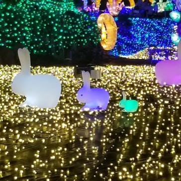 伊豆ぐらんぱる公園に投稿された画像（2022/12/4）