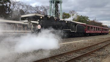 京都鉄道博物館×京都水族館に投稿された画像（2022/12/4）