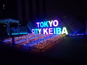 東京メガイルミに投稿された画像（2022/12/4）