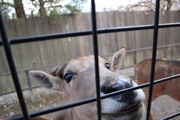 那須サファリパークに投稿された画像（2022/12/4）