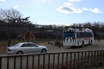 那須サファリパークに投稿された画像（2022/12/4）