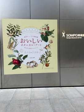 おいしいボタニカル・アート　食を彩る植物のものがたり(SOMPO美術館)に投稿された画像（2022/12/4）