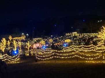 いばらきフラワーパークに投稿された画像（2022/12/4）