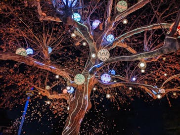 西武園ゆうえんちに投稿された画像（2022/12/4）