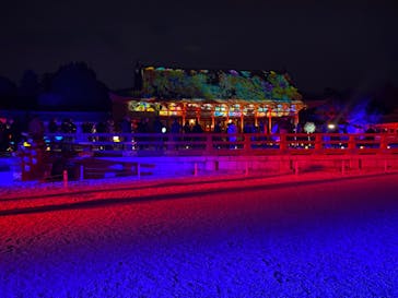 NAKEDヨルモウデ2022平安神宮に投稿された画像（2022/12/4）