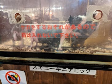 伊豆シャボテン動物公園に投稿された画像（2022/12/4）