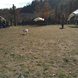 わんダフルネイチャーヴィレッジに投稿された画像（2022/12/4）