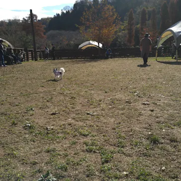 わんダフルネイチャーヴィレッジに投稿された画像（2022/12/4）